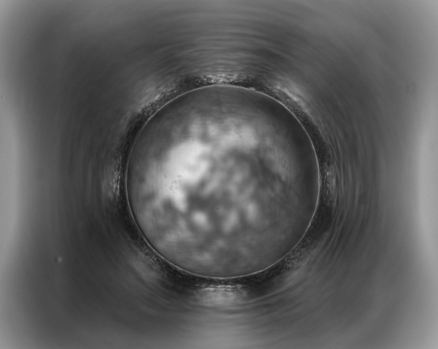 X0000087350499200704271422