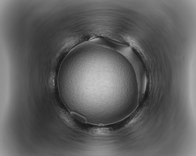 X0000087350501200704271422