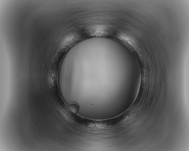X0000087350503200704271422