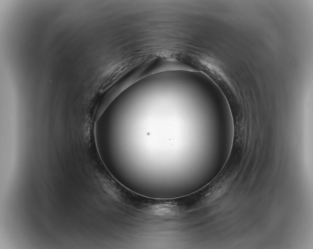 X0000087350505200704271422