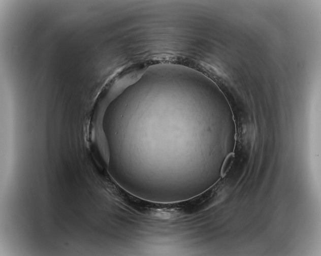 X0000087350508200704271422