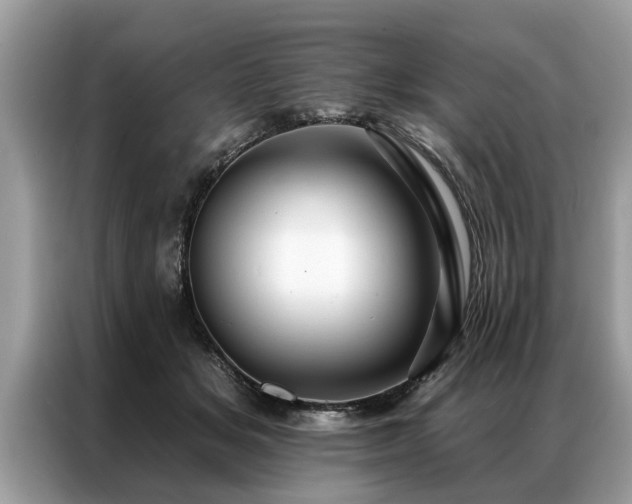 X0000087350509200704271422