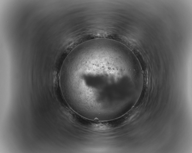 X0000087350511200704271422