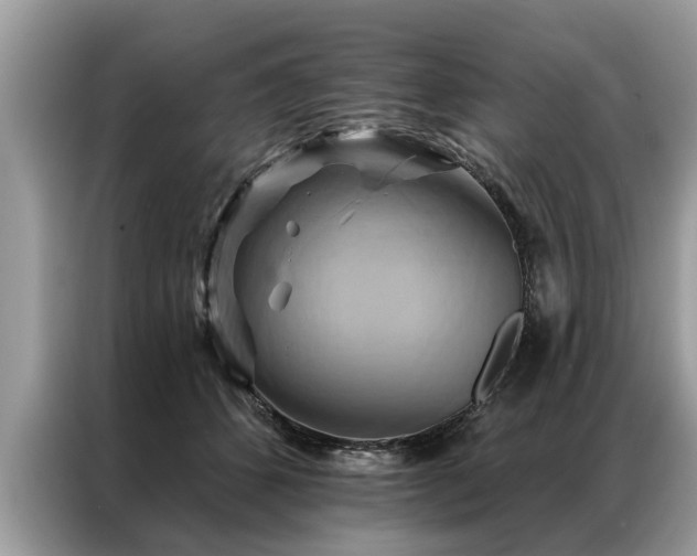 X0000087350512200704271422