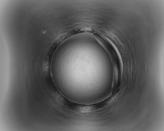 X0000087350513200704271422