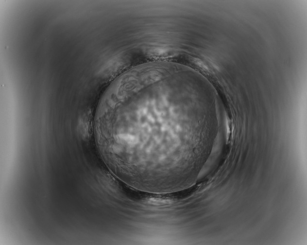 X0000087350515200704271422