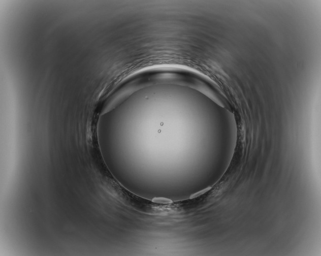 X0000087350516200704271422