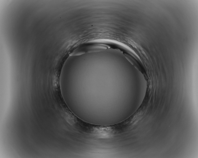 X0000087350517200704271422