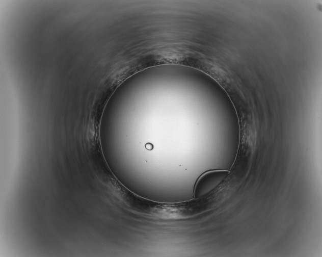 X0000087350518200704271422
