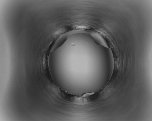 X0000087350520200704271421