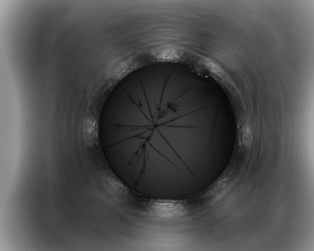 X0000087350521200704271421