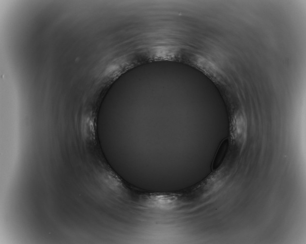 X0000087350522200704271421