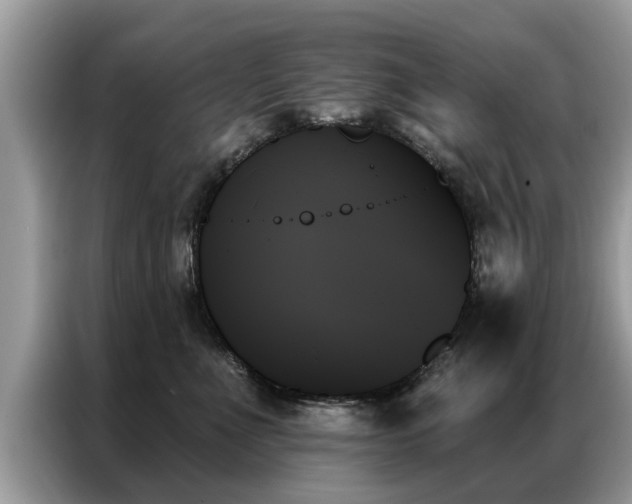 X0000087350523200704271421