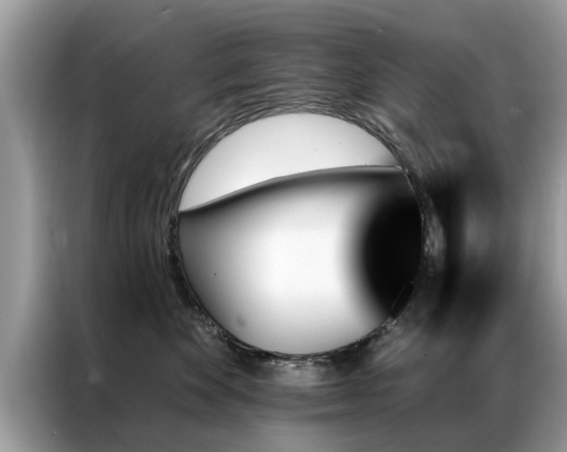 X0000087350524200704271421
