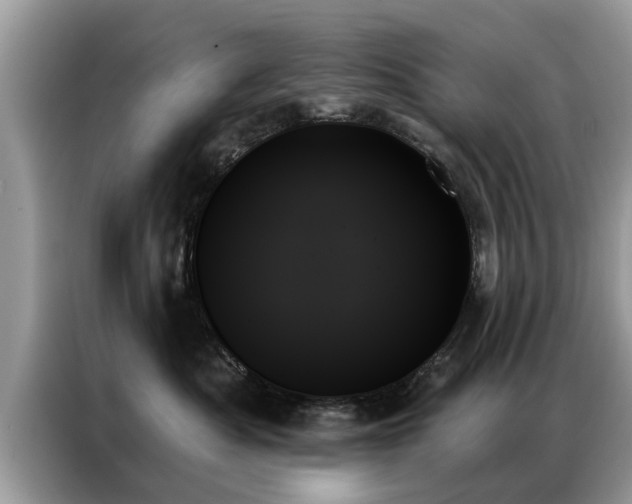 X0000087350525200704271421