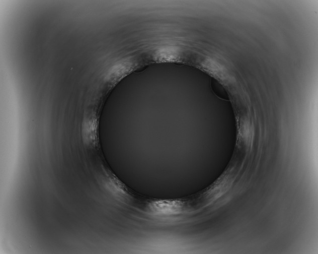 X0000087350526200704271421