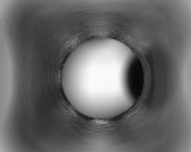 X0000087350528200704271421
