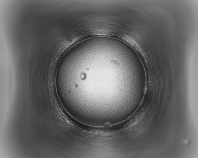 X0000087350529200704271421