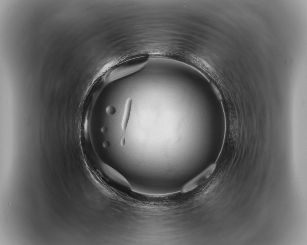 X0000087350530200704271421