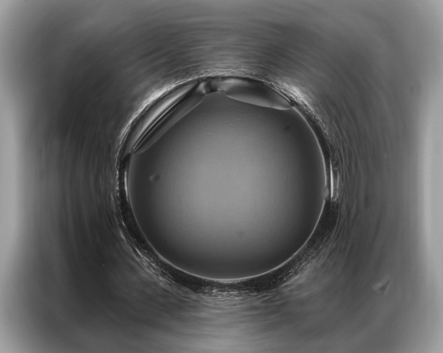 X0000087350531200704271421