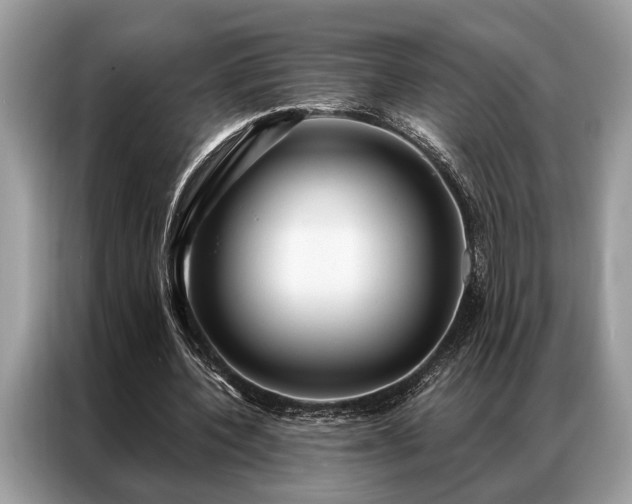 X0000087350532200704271421