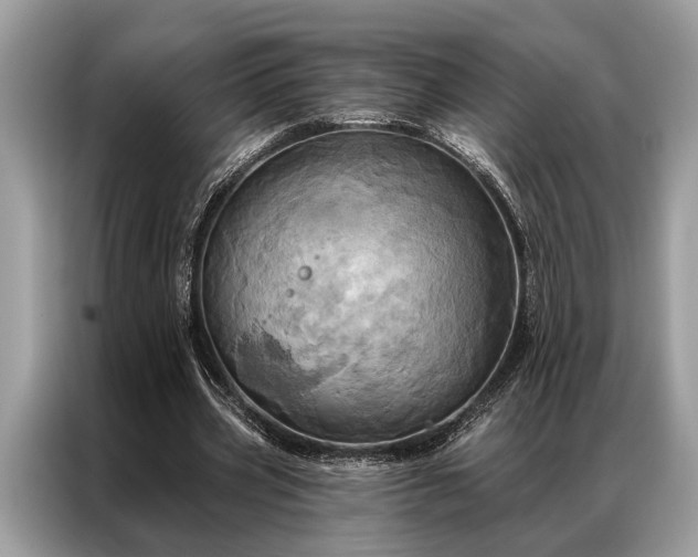 X0000087350533200704271421