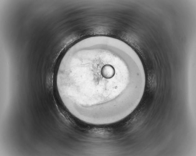 X0000087350534200704271421
