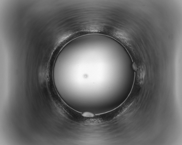 X0000087350536200704271421
