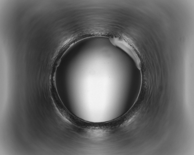 X0000087350538200704271421