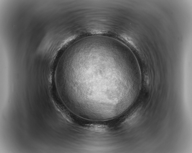 X0000087350539200704271421