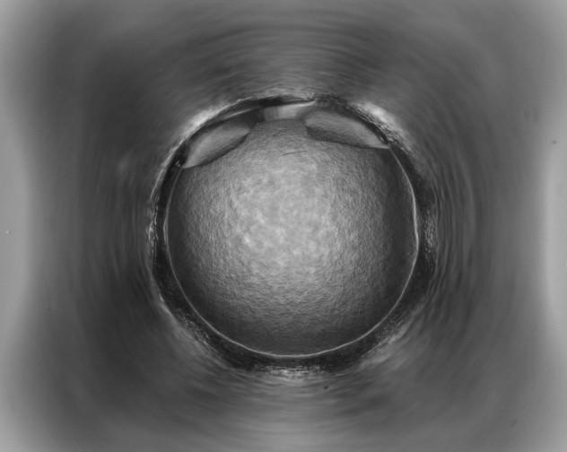 X0000087350540200704271421