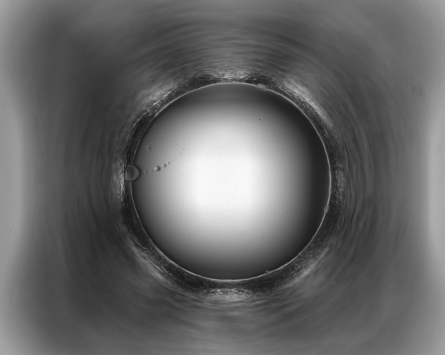 X0000087350541200704271421