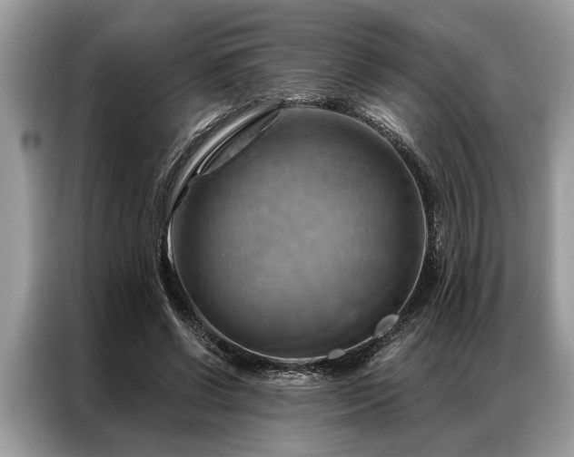 X0000087350542200704271421