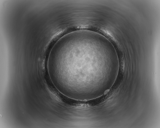 X0000087350543200704271421