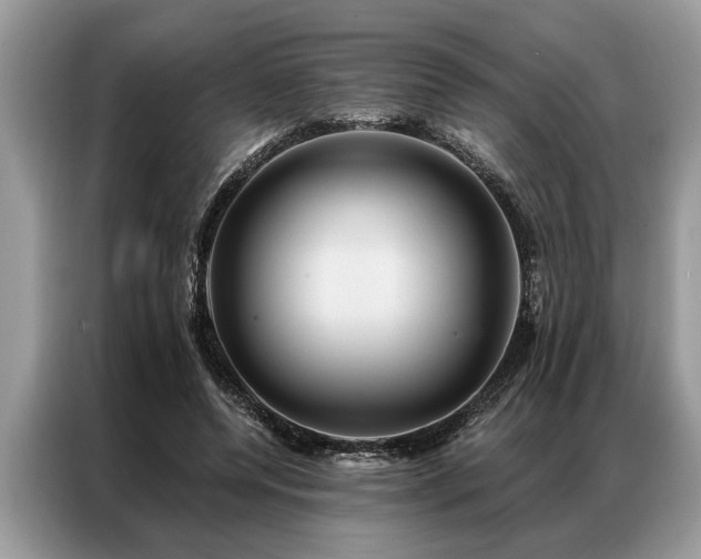X0000087350544200704271421