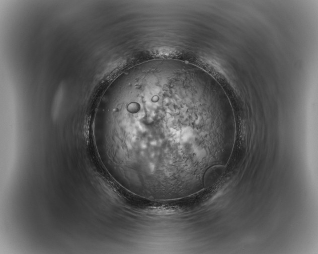 X0000087350545200704271421