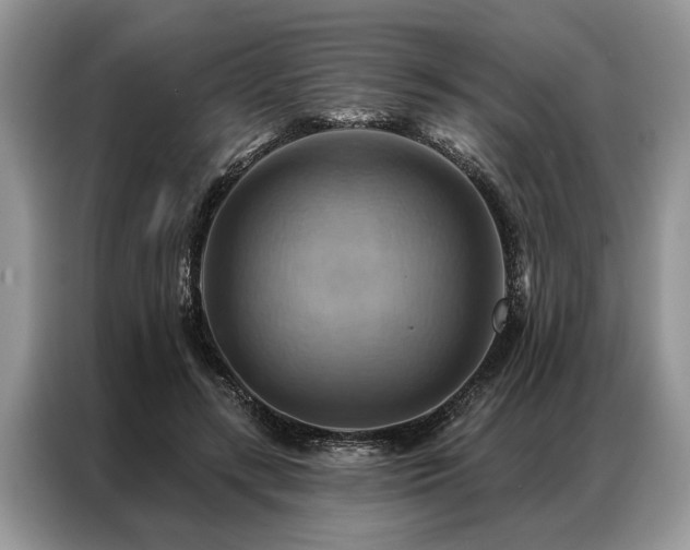 X0000087350547200704271421