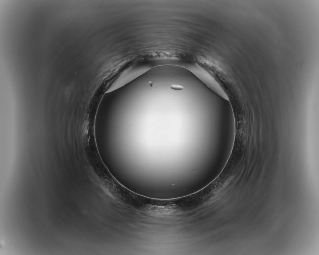 X0000087350548200704271421