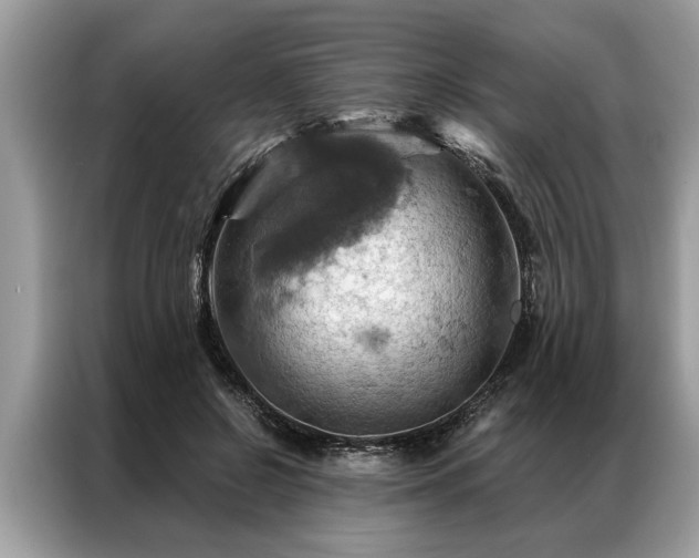 X0000087350550200704271421