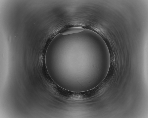 X0000087350551200704271421
