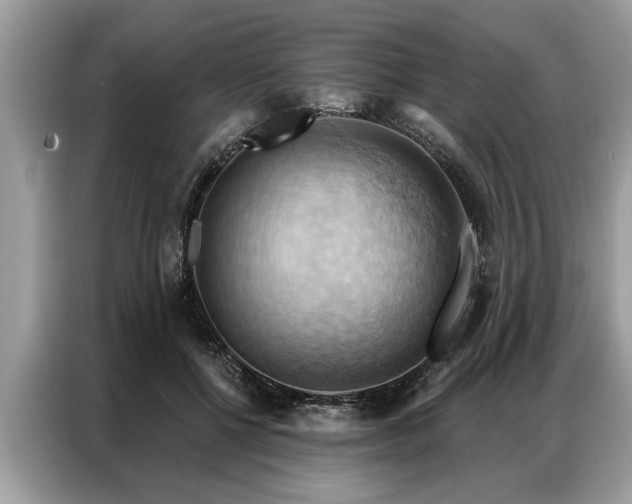 X0000087350552200704271421