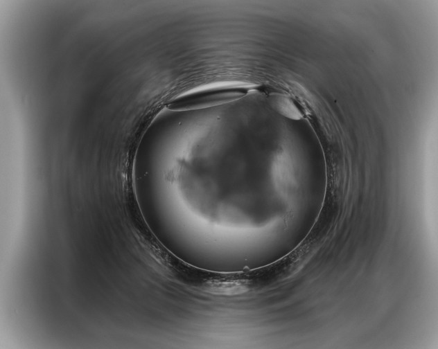 X0000087350553200704271421