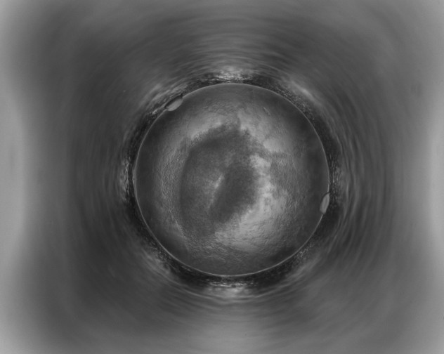 X0000087350554200704271421