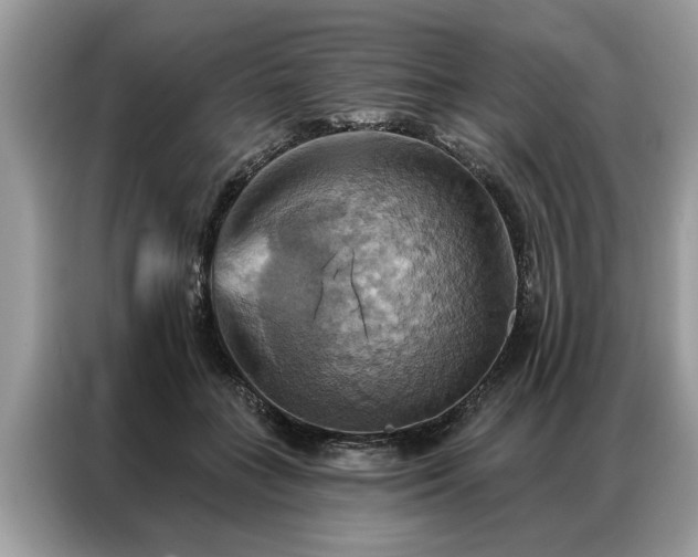 X0000087350555200704271421