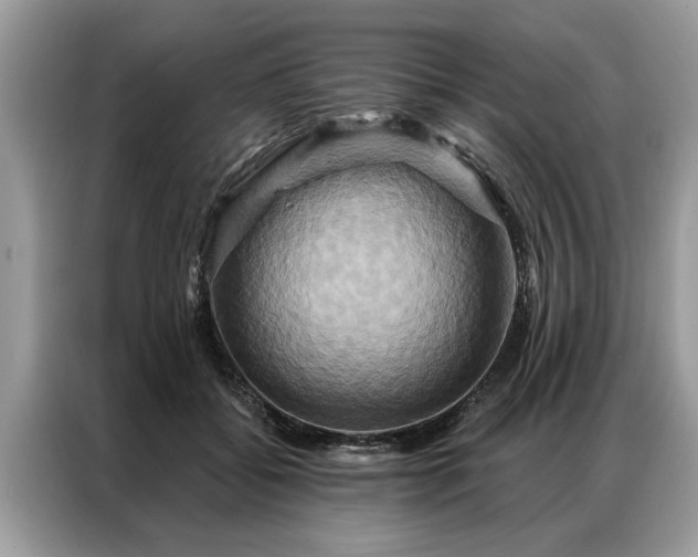 X0000087350556200704271421