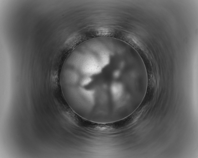 X0000087350557200704271421