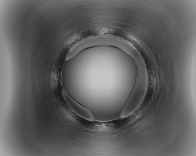 X0000087350558200704271421