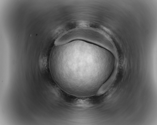 X0000087350560200704271421
