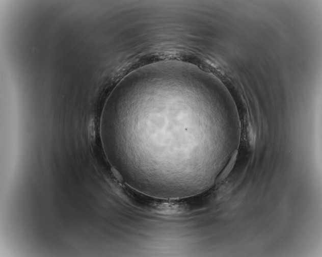 X0000087350562200704271421