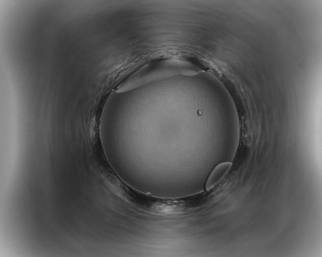 X0000087350563200704271421